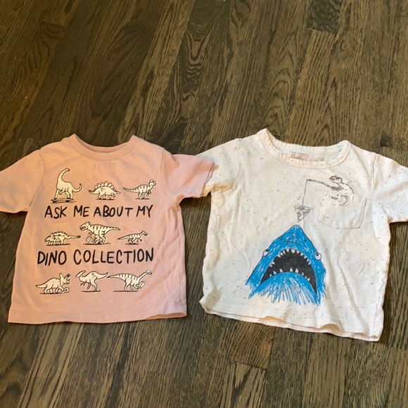 Boys t shirts . Dino + sharks . No defects .
